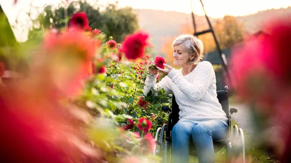 Woman in wheelchair smelling flowers in garden.